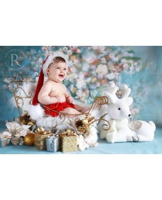 Sled for newborn and infant photography christmas props ArteBrasil