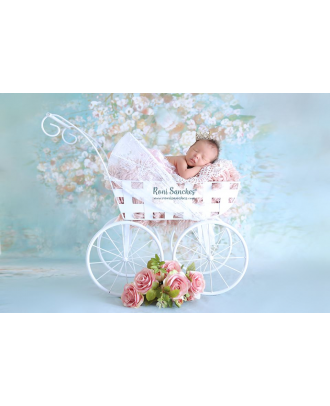 Stroller for newborn photography Artebrasil