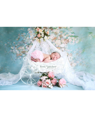 Carriage for newborn photography props ArteBrasil