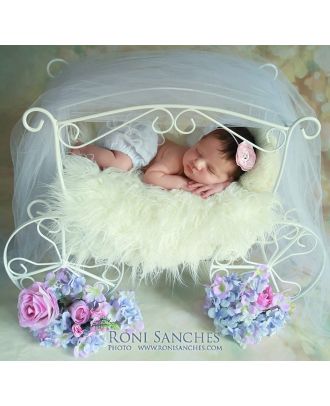 Carriage for newborn photography props ArteBrasil