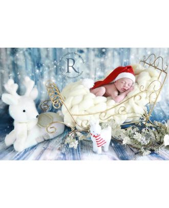 Sled for newborn and infant photography christmas props ArteBrasil