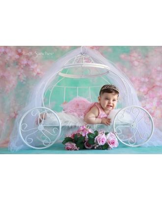 Carriage large closed newborn photography and accompaniment props Arte Brasil