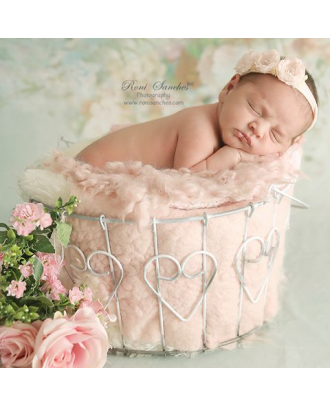 Newborn photography bucket props ArteBrasil