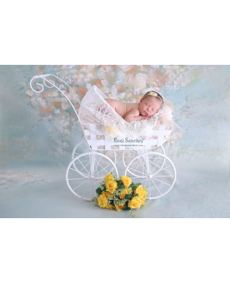Stroller for newborn photography Artebrasil
