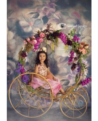 Carriage Child Decoration Photography Rehearsal Princess Party ArteBrasil