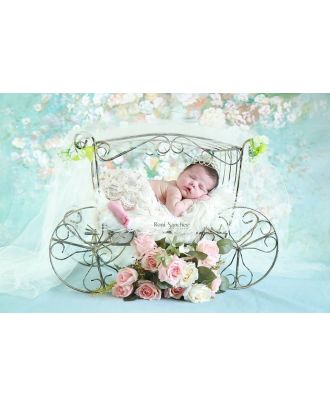 Carriage for newborn photography props ArteBrasil