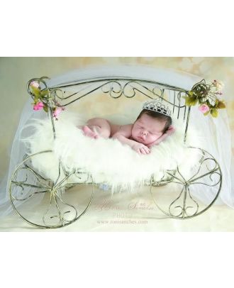Carriage for newborn photography props ArteBrasil