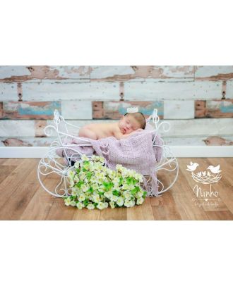 Carriage for newborn photography props ArteBrasil