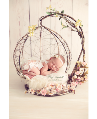 Balance newborn nest photography props ArteBrasil