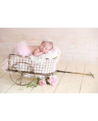 Wagon stroller photography newborn props ArteBrasil