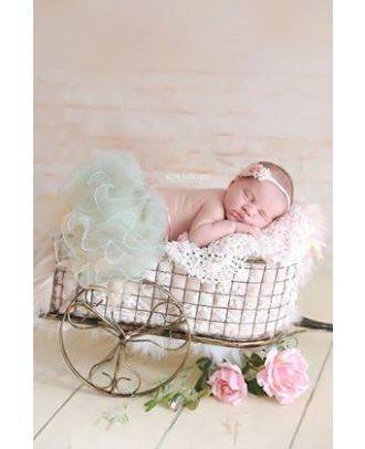Wagon stroller photography newborn props ArteBrasil