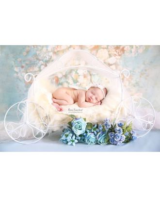 Carriage newborn G2 photography props Arte Brasil