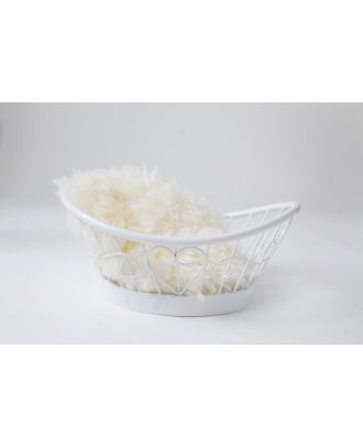 Oval iron basket for newborn photography props ArteBrasil