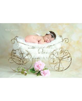 Carriage for newborn photography props ArteBrasil