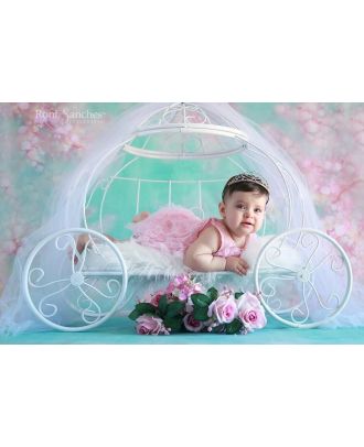 Carriage large closed newborn photography and accompaniment props Arte Brasil