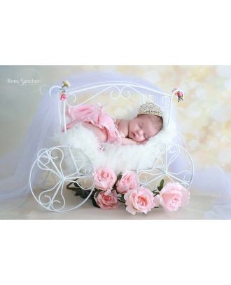 Carriage for newborn photography props ArteBrasil
