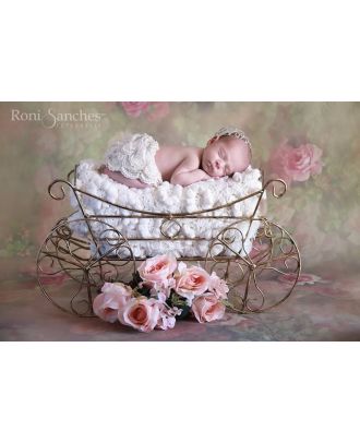 Carriage for newborn photography props ArteBrasil