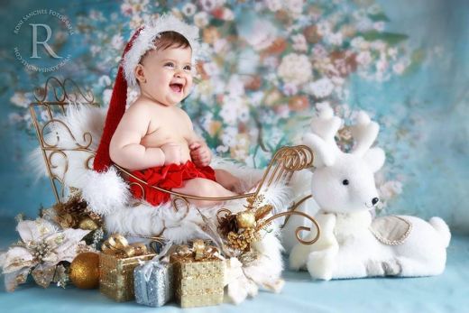 Sled for newborn and infant photography christmas props ArteBrasil