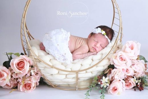Drop basket for newborn photography props ArteBrasil