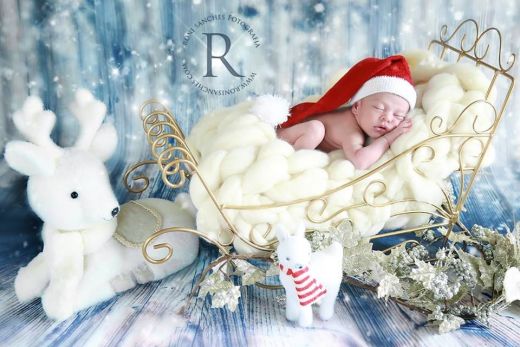 Sled for newborn and infant photography christmas props ArteBrasil