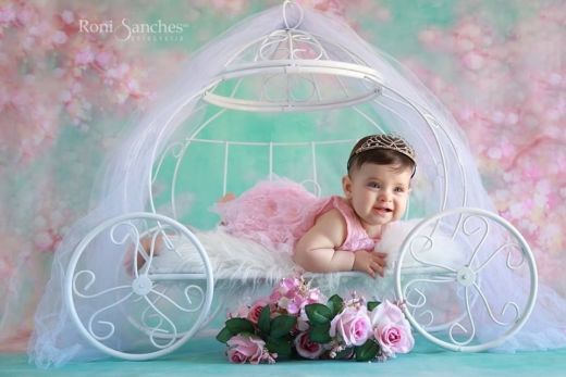 Carriage large closed newborn photography and accompaniment props Arte Brasil