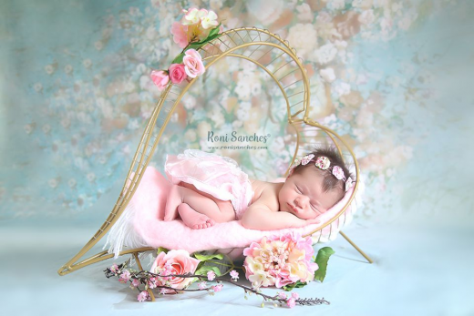 Heart basket for newborn photography props ArteBrasil