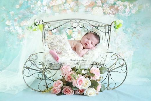 Carruagem fotografia newborn props ArteBrasil