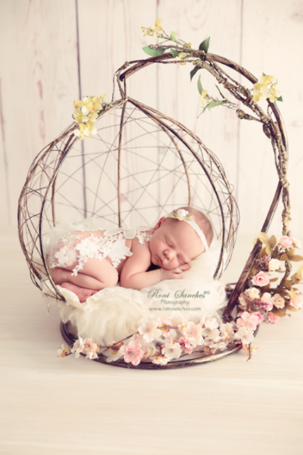Balance newborn nest photography props ArteBrasil