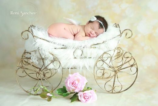 Carriage for newborn photography props ArteBrasil
